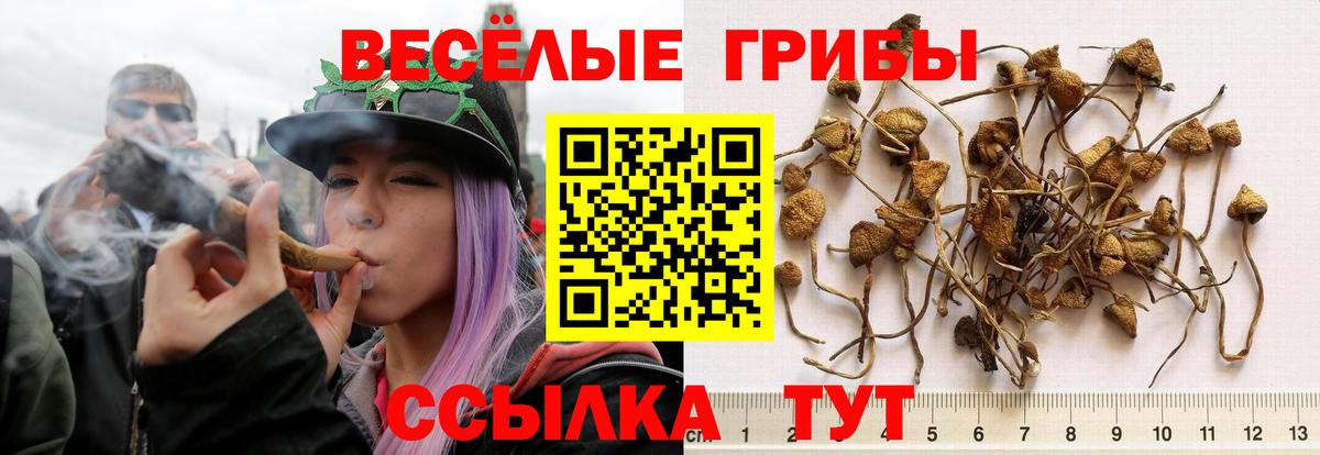 Галлюциногенные грибы GOLDEN TEACHER  Вход с VPN  Артём 